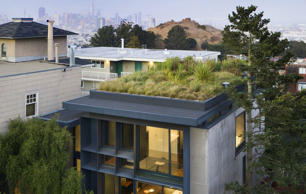 Зеленая крыша дома в Сан-Франциско