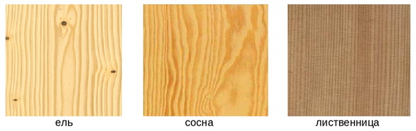 Сравнение разных видов древесины