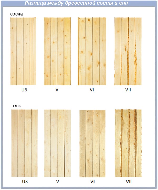 Разница между сосновой и еловой древесиной