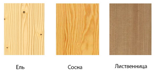Породы древесины для бруса