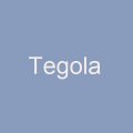 Компания «Tegola»
