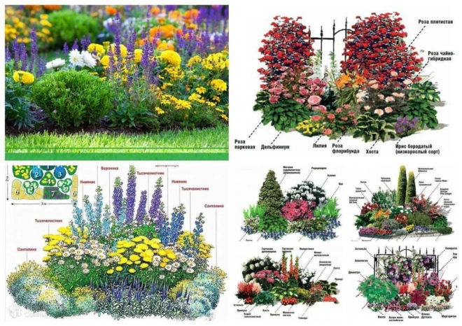 Как оформить клумбу — примеры схем красивого и стильного дизайна цветников и клумб (70 фото)