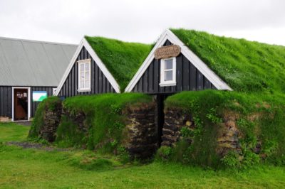 Дома с зеленой крышей по экстенсивной технологии